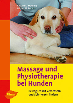 Massage und Physiotherapie Hund